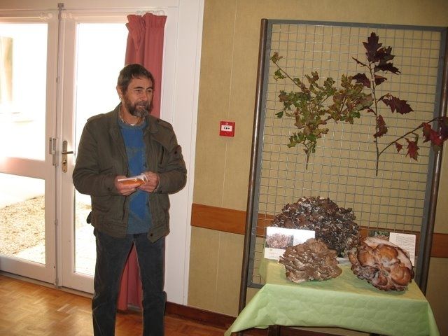 Expo champignons a St Leger 80